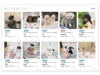 �������� �������� �Խ���